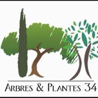 ARBRES ET PLANTES 34 (IND.)